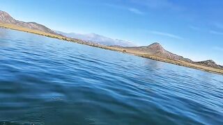 Fishing Teaches Patience… Especially With That One Friend Who Never Stops Talking! ????????