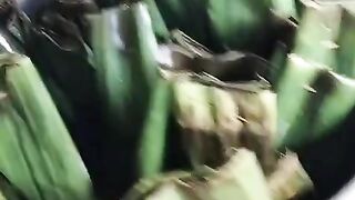 Traditional cuisine to welcome Eid al-Fitr.