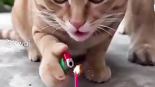 #مقلب????#ملاكمة#ضحك#رحمه_محسن#العوضى????