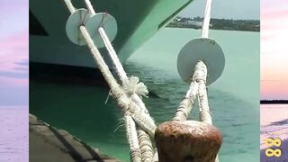 Cara Kapal Mengatasi Tikus!???? versi bola88