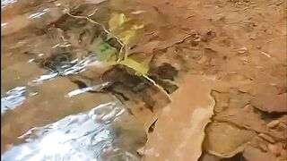 Tranquil River Flow ???? | Relaxing Nature Video