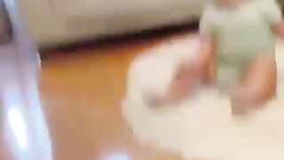 #funny #video #cat #short #viral