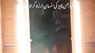 Tilawat e Quran Majeed 41