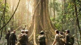 Make a luxury tree house