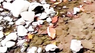 ketemu rakyat pantai selatan