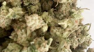 Buy Weed THC Vape In Amsterdam telegram @greenplug420