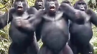 не побачив мавпу, яка рухається краще за мене