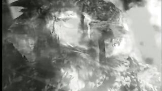 Ricardo Arjona Realmente no estoy tan solo