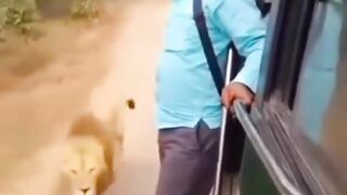 Funny videos ???????????????? 18