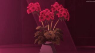 Trigun Stargaze Episodes 11