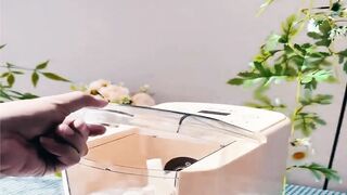 Homemade Pasta in Minutes! Fully Automatic Electric Noodle & Dough Maker