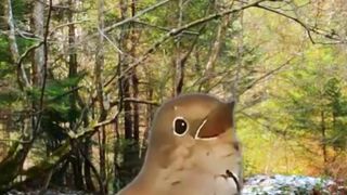 Beautiful nature 280