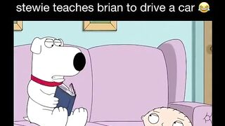 Stewie teaches brian to drive a car