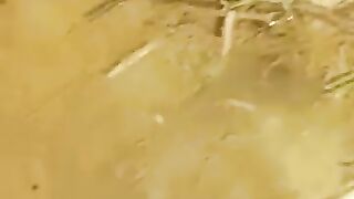 Looking for a fish or eel.. Thanks for watching..!! 88