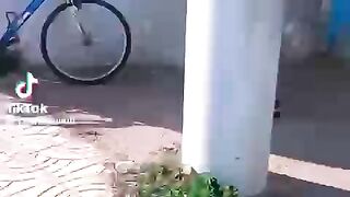 ???????????????? 246