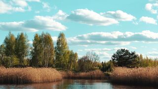 Smartphone POCO X7 PRO 5G NFC tela Amoled C mera 4K - a lake with tall grass and trees in the b