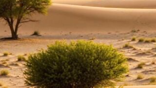 Ek faker aur doo Nowjawan ka waqa