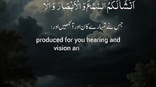 Tilawat e Quran Majeed 43
