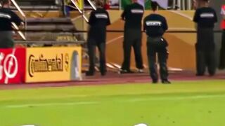 Pertempuran Nuremberg (25 Juni 2006) adalah laga babak 16 besar Piala Dunia FIFA 2006 antara Portugal dan Belanda