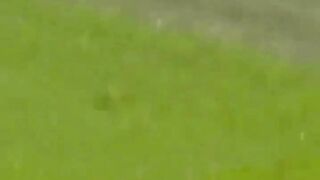 Namanya Juga Khilaf????5 Gol Bunuh Diri Terbaik Yang Dilakukan Oleh Kiper????