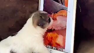 CUTE ???? MOMENT ???? 2