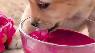 CUTE ???? MOMENT ???? 3