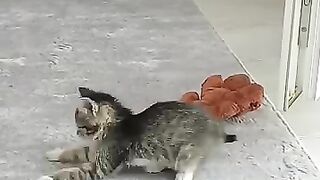 We haven't found his mother yet