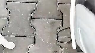 А tabby cat in need of love