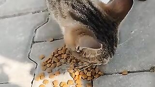 Our baby's belly is full now