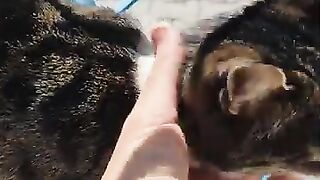 A cute tabby cat came to my window.