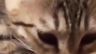 He ate the food with pleasure