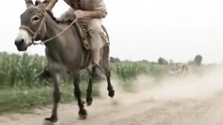 When your donkey outruns the banking system