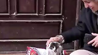 Each injured stray cat will try to find the FSC rescue team