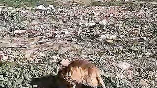 We will create new hope for every suffering kitten