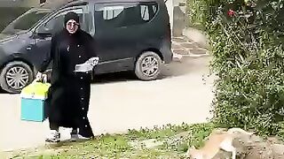 The happiness with which cats greet us is the best thing we can receive