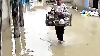 We will be the guardian angel for the cats in every crisis