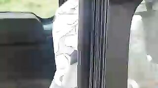 Street cats and shelter cats were waiting for our adventure to rescue th