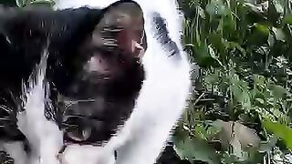 Trying to rescue a stray cat suffering from its injury