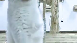 The hardest parting between Tripod the cat and his rescuer