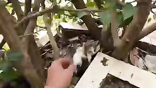 I will be a surrogate mother to every kitten #cat #kitten #catres