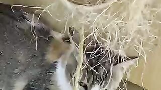 We will be expecting a hug from every cat that has been neutered