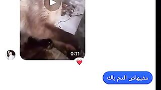 Paralyzed cat left on street in silent pain after car accident