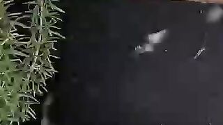 Mama cat and her kittens fell in love with the rescuer