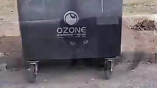 After being cared for, the kitten was ready for her leg amputation