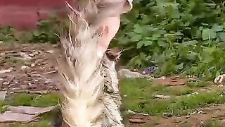 The story of Minky the cat after her leg was amputated is full of hope