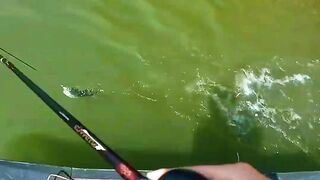 They Think We’re Chasing Fish… But We’re Really Chasing Peace