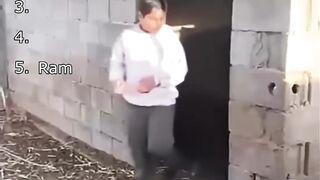 Top 5 Animal funny moments