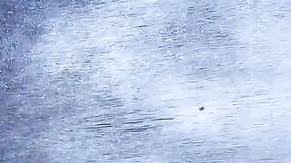 O novinho que surpreendeu o público