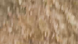 ❤️????????My cat