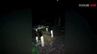 di balek pohon bambu